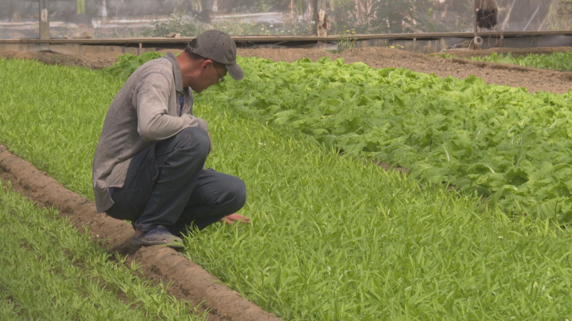 農地消失系列》清水農地變工廠、有機專區搬遷夢、底渣下一站