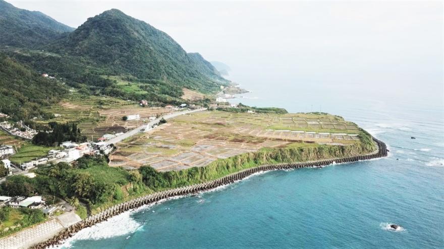 4/18晚間10點｜在稻田裡護海洋、為鳥類造個家、消滅光點小火蟻大作戰