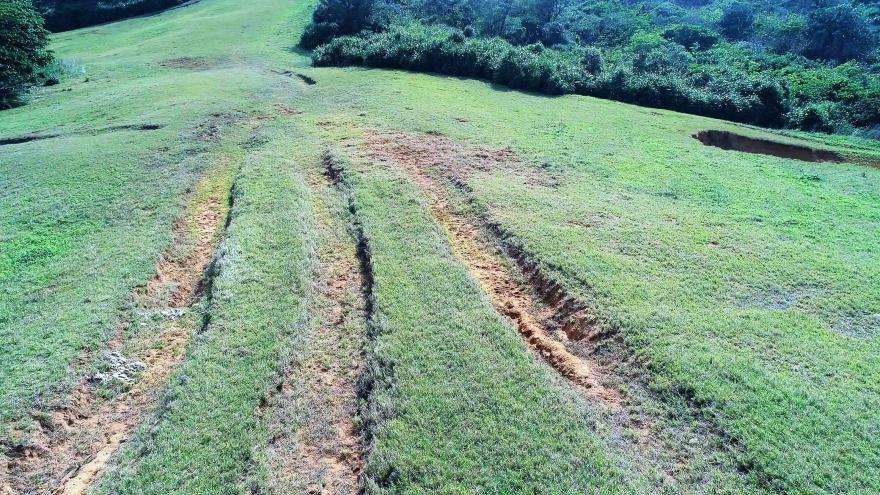 4/4 週一晚間十點播出：狂飆的代價｜五十二甲濕地的未來