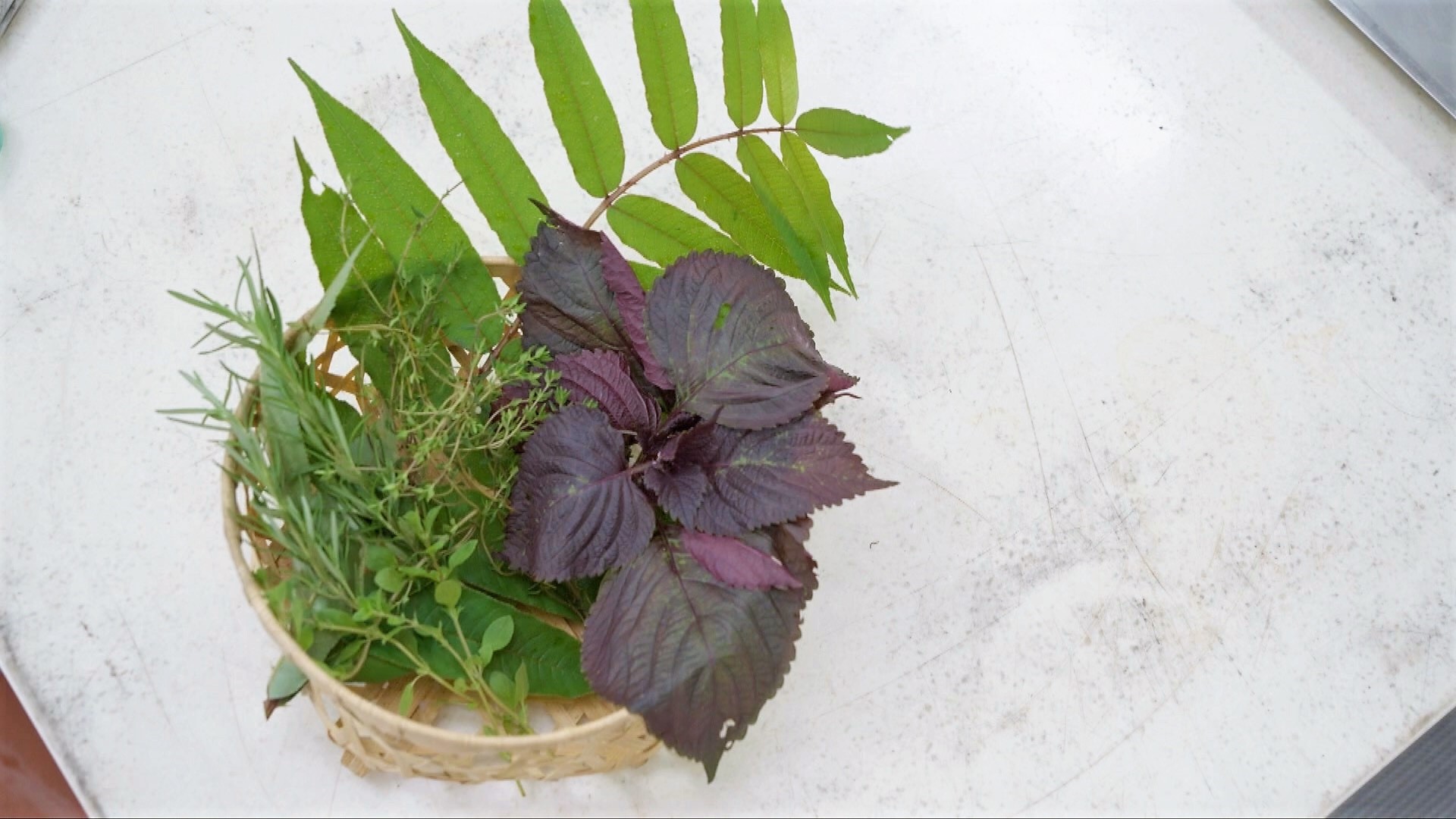 香草新經濟｜新竹那羅香草