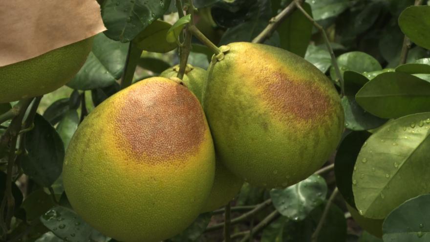 9/19今晚十點播出：過熱症候群｜劫水  南勢溪