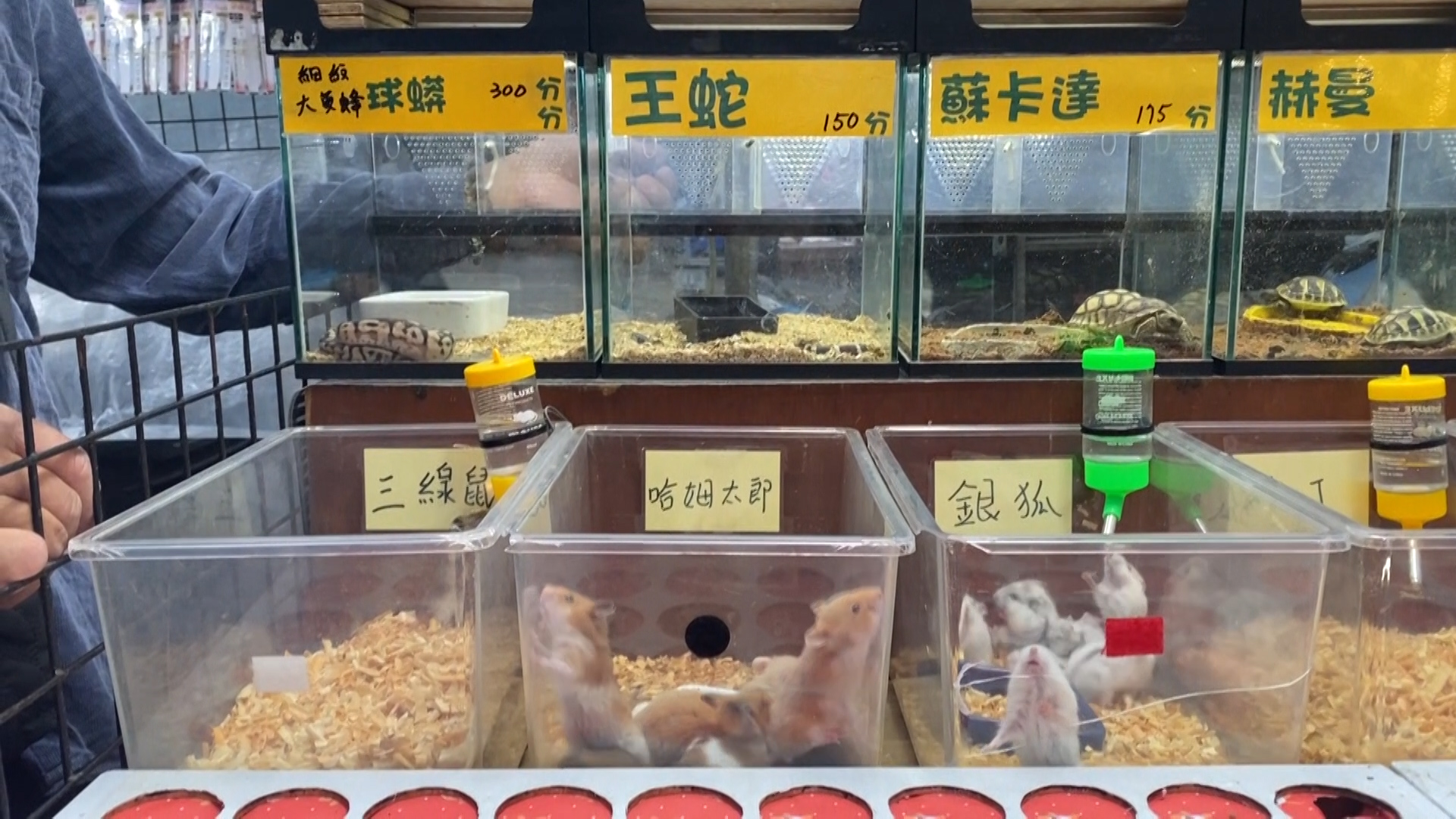 5/30週一晚間10點：建築的循環經濟｜該消失的童年回憶｜綠能產業園區的移樹爭議