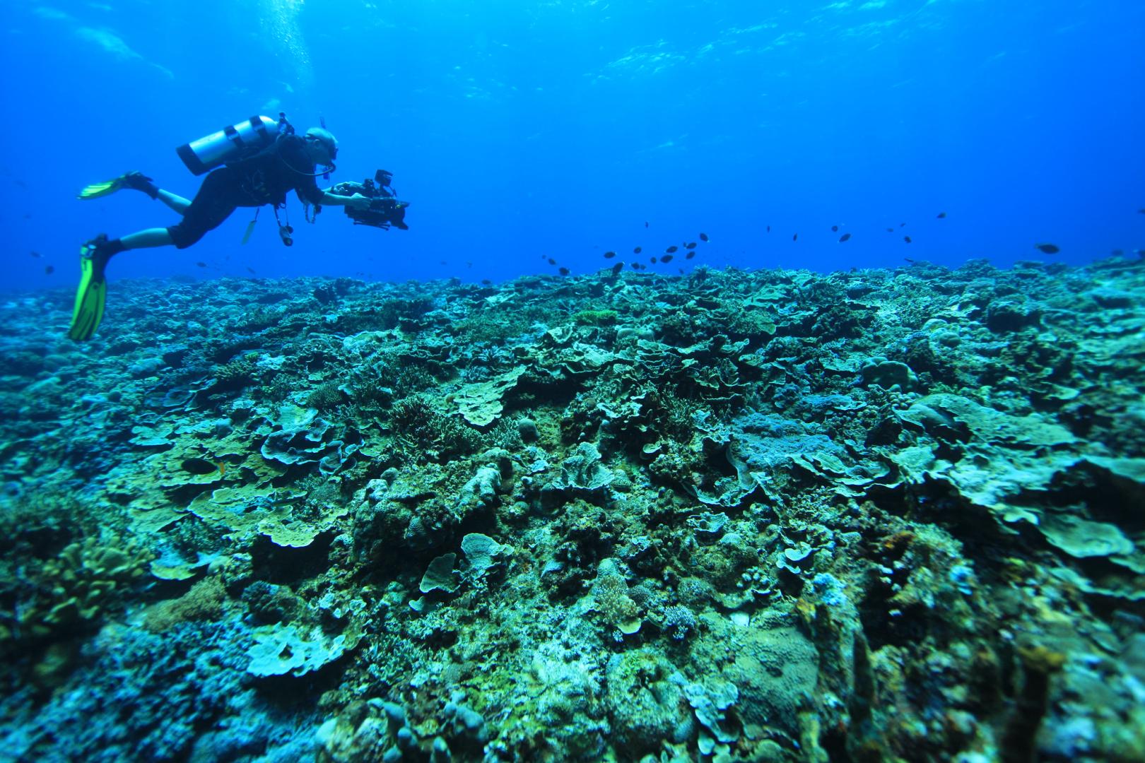 4/25晚間10點｜映像太平