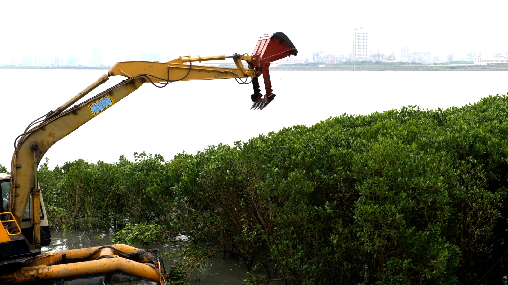 5/2(週一)晚間十點播出：尋回灘土｜烏溪魚類的未來｜守護嘉醫百年文化