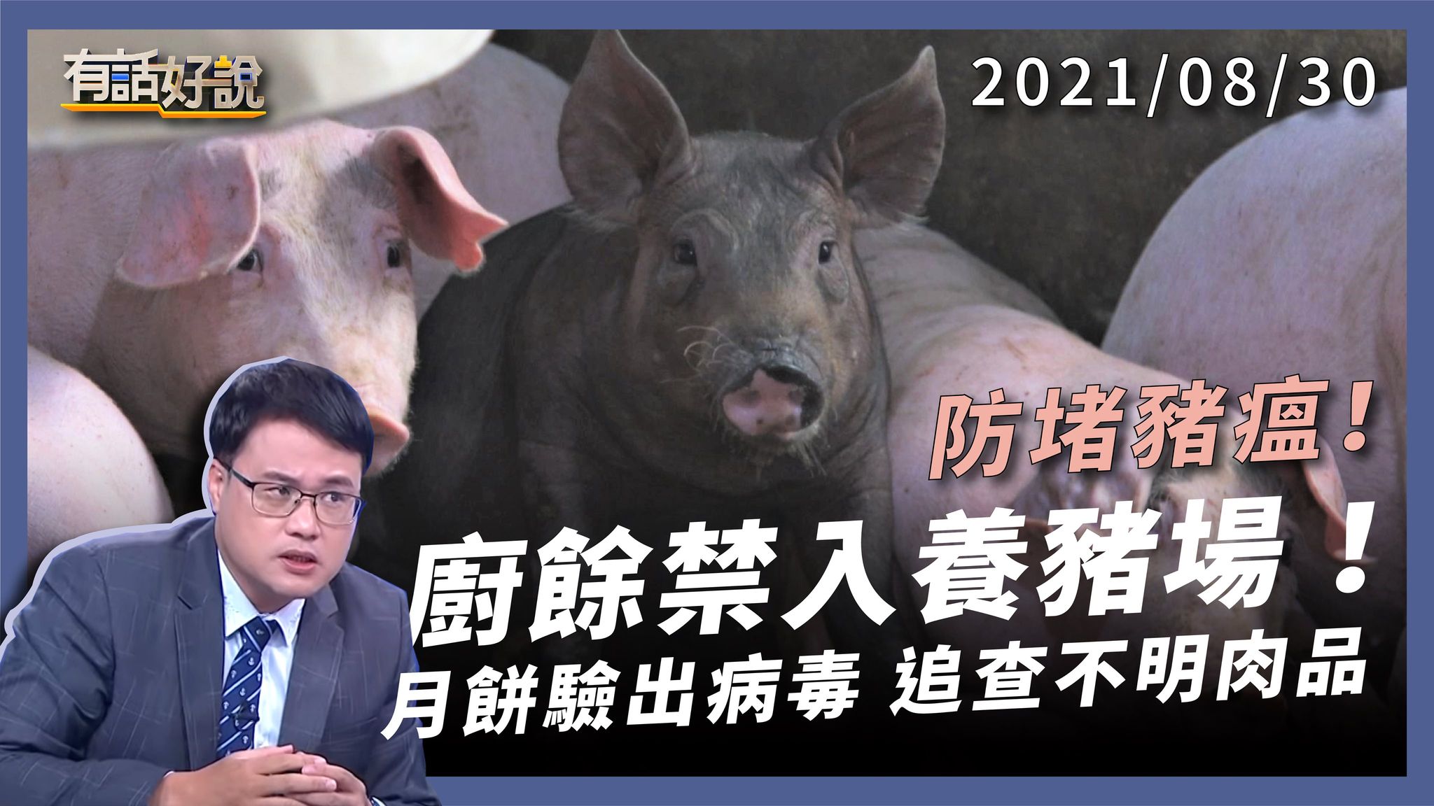 非洲豬瘟強勢來襲　全國禁止廚餘養豬！