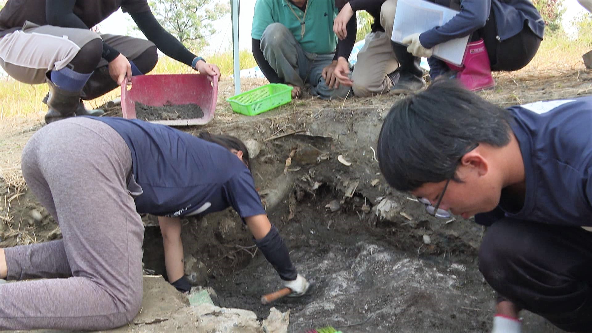 二仁溪的煉金術師