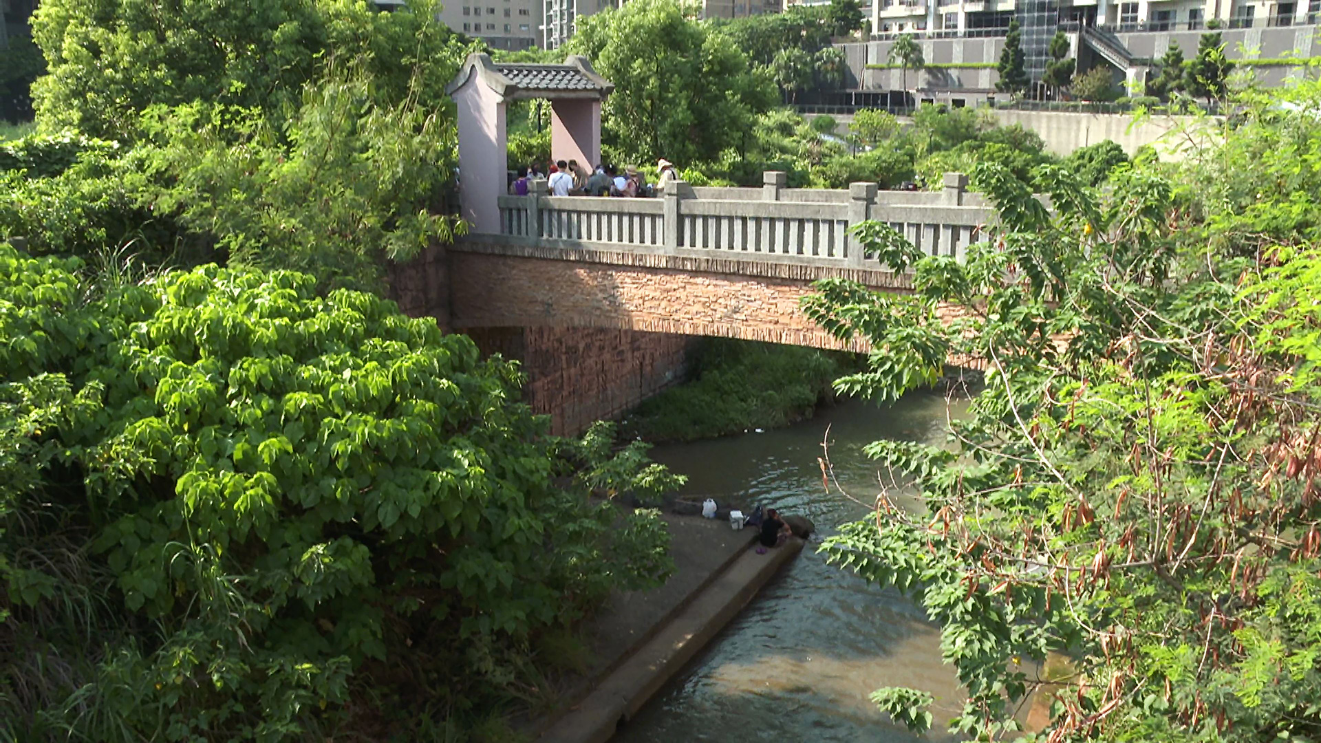 10/17今晚10點播出：我家門前有小河 Action !｜山貓森林拚保育｜修復宜蘭雙連埤古水圳