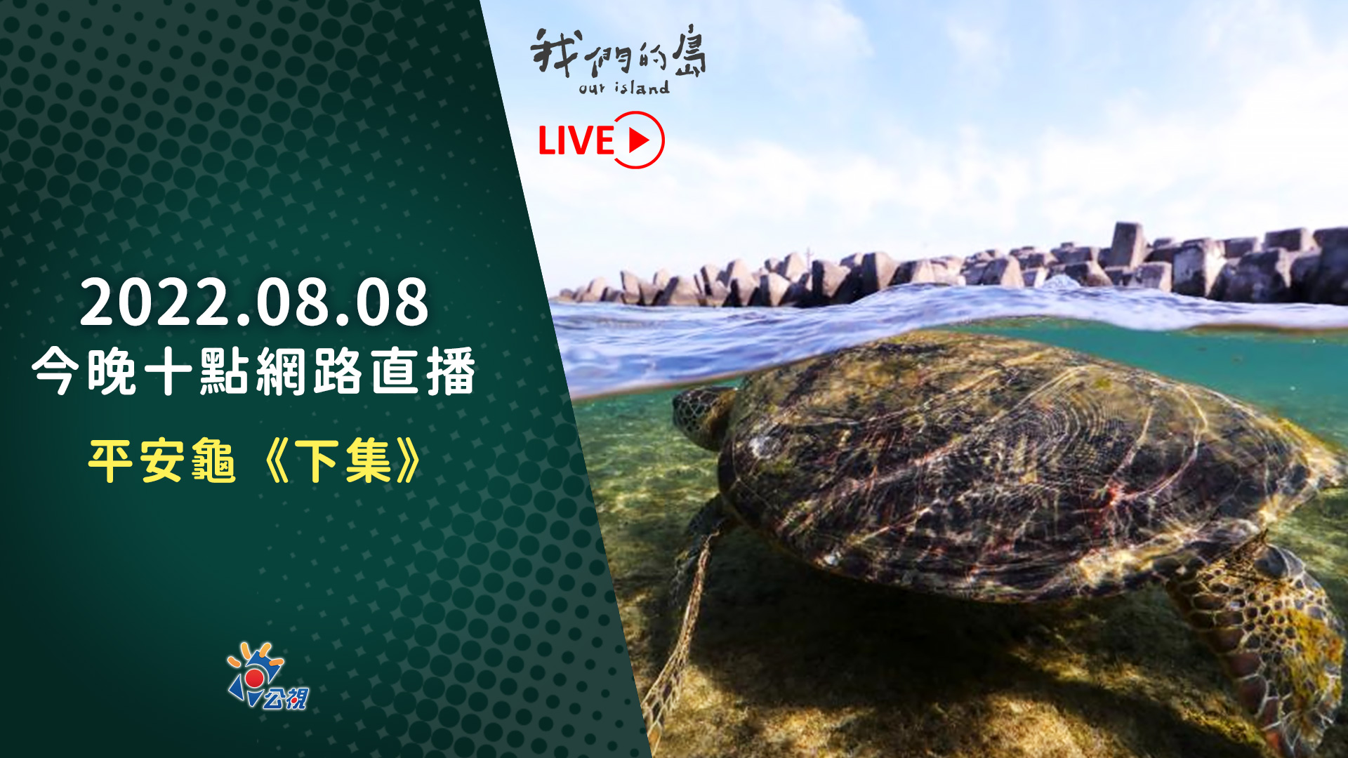 8/8晚間十點｜平安龜紀錄片《下集》